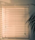Cream blinds - Image 3
