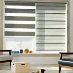 Transition Blinds
