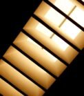 Skylight blinds