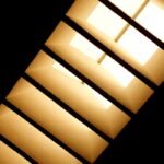 Skylight blinds